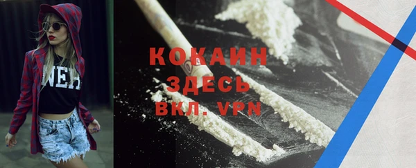 тгк Елизово