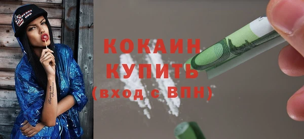 ECSTASY Ельня