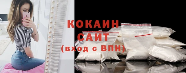 ECSTASY Ельня
