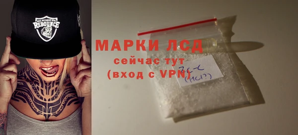 ECSTASY Ельня