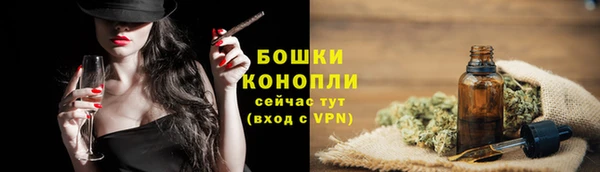 ECSTASY Ельня