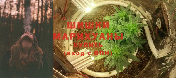 ECSTASY Ельня