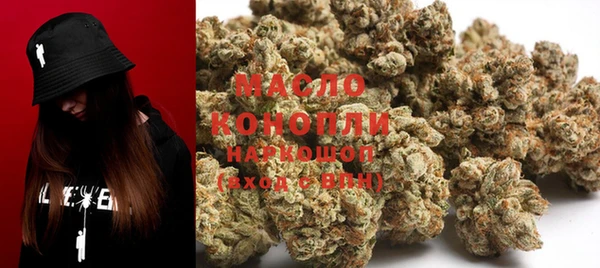 ECSTASY Ельня