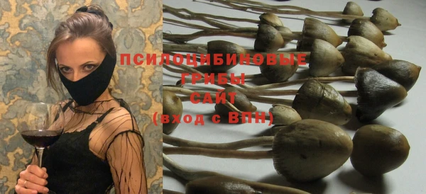 тгк Елизово
