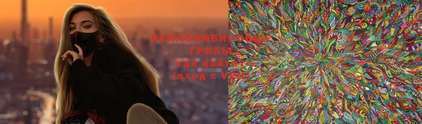 тгк Елизово