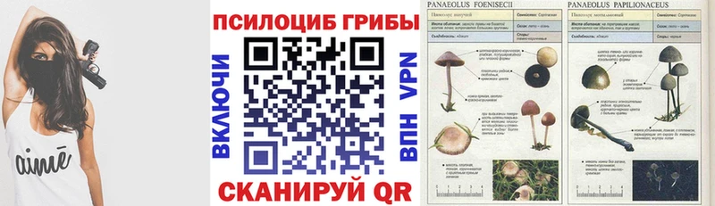 Псилоцибиновые грибы ЛСД Спас-Деменск